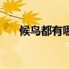候鸟都有哪些鸟图片（候鸟都有哪些）