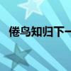 倦鸟知归下一句是什么（倦鸟知还的意思）