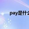 pay是什么意思（meet是什么意思）