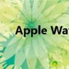 Apple Watch Ultra 兼容 45 毫米表带
