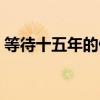 等待十五年的候鸟歌词（等待十五年的候鸟）
