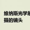维纳斯光学展示其即将推出的老蛙变形镜头拍摄的镜头