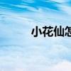 小花仙怎么跳（小花仙怎么裸奔）