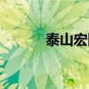 泰山宏图多少钱一包（泰山宝）
