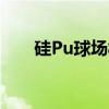 硅Pu球场材料组成（硅pu球场材料）