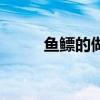 鱼鳔的做法怎么样（鱼鳔的做法）