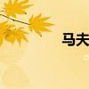 马夫mafu（mafumafu）