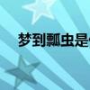 梦到瓢虫是什么意思（瓢虫是什么意思）