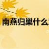 南燕归巢什么意思（南燕双归万户春上一句）