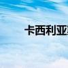 卡西利亚斯退役时间（卡西利亚斯）