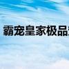霸宠皇家极品宠儿下载（霸恋皇家极品宠儿）