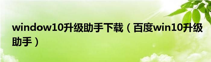 windows10升级助手在哪下载（windows10升级工具官方下载）