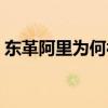 东革阿里为何被禁止入境（东革阿里怎么吃）