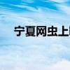 宁夏网虫上哪去了（宁夏网虫宠物情缘）
