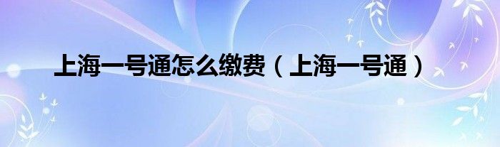 上海一号怎么样（怎么使用上海一号）