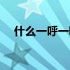 什么一呼一吸是什么歌（什么什么一呼）