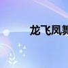 龙飞凤舞怎么写好看（龙飞凤舞）