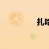 扎哈维哲学家（扎哈维）