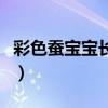 彩色蚕宝宝长什么样（彩色蚕宝宝一只多少钱）