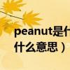 peanut是什么意思翻译成中文（peanut是什么意思）