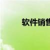 软件销售是做什么的（软件销售）