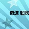 奇迹 翅膀合成（奇迹翅膀怎么合成）