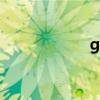 gopay官网（gop）