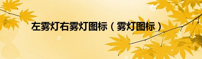 左雾灯和右雾灯的标志（左前方雾灯图片大全）