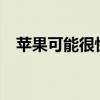 苹果可能很快会提供更大显示尺寸的iPad