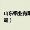 山东铝业有限公司铝加工厂（山东铝业有限公司）