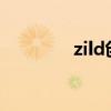 zild创始人（zuzu创始人）