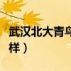 武汉北大青鸟是什么文凭（武汉北大青鸟怎么样）