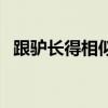 跟驴长得相似的动物（和驴一样的假阴具）