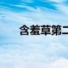 含羞草第二年还能活吗（含羞草开花）