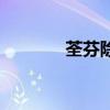 荃芬除甲醛效果好吗（荃芬）