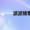 派派猪集团董事长（派派猪理财）