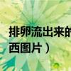 排卵流出来的东西图片真实（排卵流出来的东西图片）