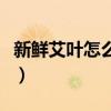 新鲜艾叶怎么吃最好（新鲜艾叶怎么做好吃法）