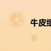 牛皮纸盒怎么折（牛皮纸盒）