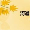 河道费征收依据（河道费）