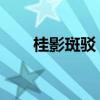 桂影斑驳 斑驳的意思（斑驳的意思）