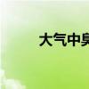 大气中臭氧的作用（臭氧的作用）