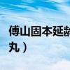 傅山固本延龄丸的功效与作用（傅山固本延龄丸）