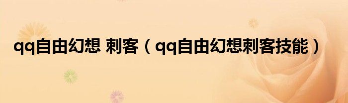 qq自由幻想刺客技能介绍大全（qq自由幻想刺客加什么属性）