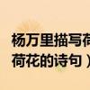 杨万里描写荷花的诗句是哪一句（杨万里描写荷花的诗句）