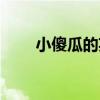 小傻瓜的英文缩写（小傻瓜的英文）