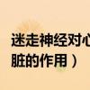 迷走神经对心脏的作用不应期（迷走神经对心脏的作用）