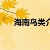 海南鸟类介绍（海南鸟类图片及名称）