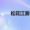 松花江面包车价格（松花江面包车）