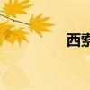 西索不化妆（西索不bt）